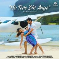 Na Tere Bin Aaye_Udit Narayan,Alka Yagnik