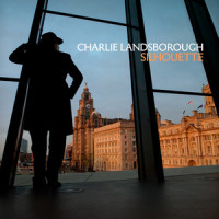 The Fool in the Mirror_Charlie Landsborough