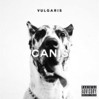 Bong Bong Bong_Canis