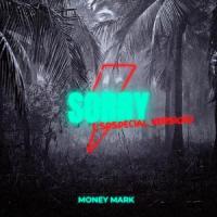Sorry(Special Version)_Money Mark