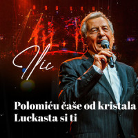 Polomicu case od kristala (ARENA 2022)_Miroslav Ilic