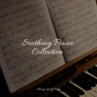 Amazing Splendor_Classic Piano,Soulful Piano Group,Piano Pianissimo