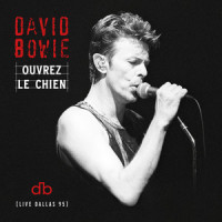Look Back In Anger_David Bowie