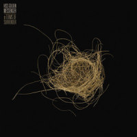 I Need a Teacher_Hiss Golden Messenger