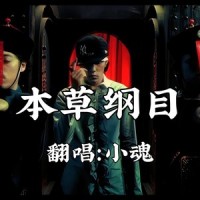 本草纲目_小魂