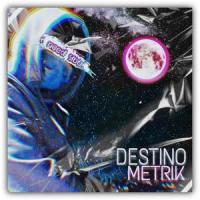 Destino(feat. Metrik)_Liberi Nøctis,Metrik