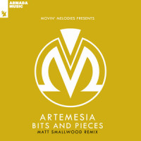 Bits And Pieces_Artemesia,Patrick Prins