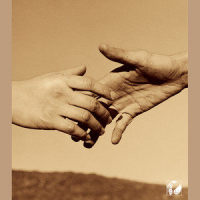 another night_LOVE PSYCHEDELICO