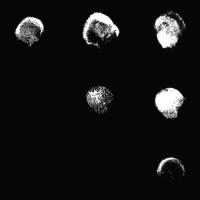 Change Is Everything(Solo)_Son Lux