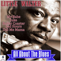 Your'e So Fine_Little Walter