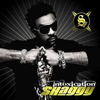 Those Days (feat. Nash)_Shaggy,nash