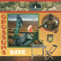 Starcrash_Opossums,Patrick Jordan