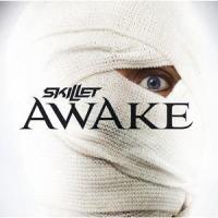 Should've When You Could've_Skillet