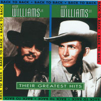 Mansion On The Hill_Hank Williams Jr.