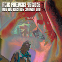 Chakra 24_The Melting Paraiso U.F.O.,Acid Mothers Temple