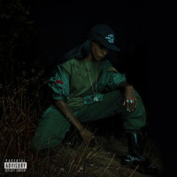 The Woods_Angel Haze