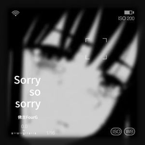 Sorry so sorry