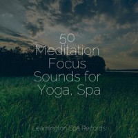 Comforting Sounds_Meditation Rain Sounds,Spa,Active Baby Music Workshop