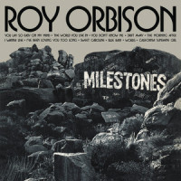 I've Been Loving You Too Long (To Stop Now)_Roy Orbison
