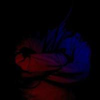 doom_ACED,999,Gavin Blakely