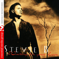 Celebration_Stevie B