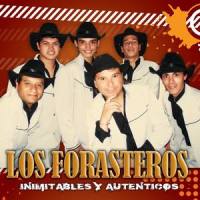 Volver_Los Forasteros,Gustavo Javier Remessar