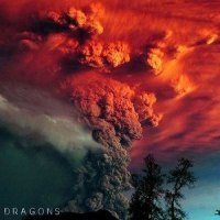 Dragons_Violet Skies