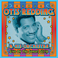 I've Been Loving You Too Long (To Stop Now)_Otis Redding