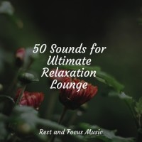 Lovely Drops_Chakra Meditation Universe,Wellness,Guided Meditation Music Zone