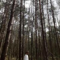 goodbyes_Jons,Vertigoth,Joannes van Elderen,shishy