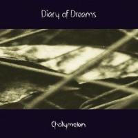 Shattered Disguise_Diary Of Dreams