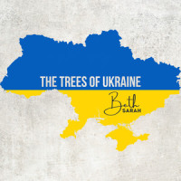 The Trees of Ukraine_Beth Sarah