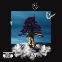 Shots in the Dark(feat. Neka & Kahlo)_Matty,Neka,Kahlo