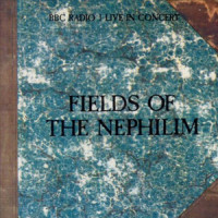 Endemoniada_Fields of the Nephilim