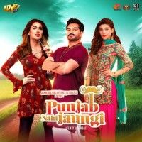 Tere Naal Naal_Shafqat Amanat Ali