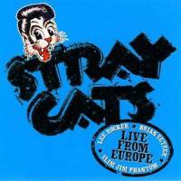 Drink That Bottle Down_Stray Cats
