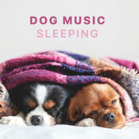Calm Your Dog_Sleepy Dogs