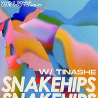 Who's Gonna Love You Tonight_Snakehips,Tinashe