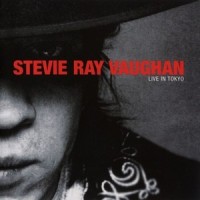 Scuttle Buttin'_Stevie Ray Vaughan