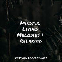 Time to Sleep_Sounds of Nature White Noise for Mindfulness Meditation and Relaxation,Sleepy Times,Sound Sleeping