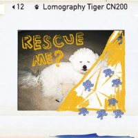 Rescue me_Fromm