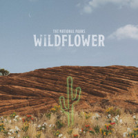 Wildflower_The National Parks