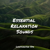 Unwind_Healing Sounds for Deep Sleep and Relaxation,Sol y Lluvia,Relaxing Sleep Music