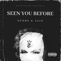 Seen You Before(feat. ALIN)_Genre,ALIN