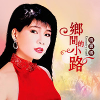 乡间的小路_韩宝仪