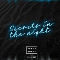 Secrets In The Night_Junge Junge,Séb Mont