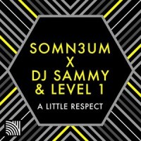 A Little Respect_Somn3um,DJ Sammy,Level 1