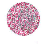 An Abundance of Strawberries_Julia Brown