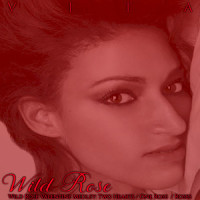 Wild Rose_Vita Batin,Jeff Timmons