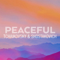 Tchaikovsky: Piano Trio in A Minor, Op. 50, TH. 117 - II. (A) Tema con variazioni: Andante con moto (第2楽章: (A) Tema Con Variazioni: Andante Con Moto|ダイ2ガクショウ) (Live)_Martha Argerich,Gidon Kremer,Mischa Maisky